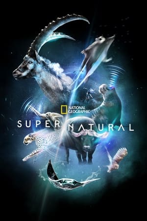 Super/Natural Temporada 1 online gratis