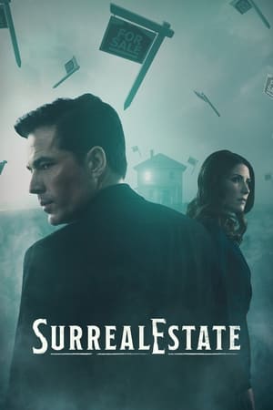 SurrealEstate Temporada 1 online gratis