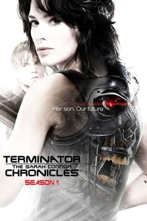 Terminator: Las crónicas de Sarah Connor T 1 C 7 online gratis