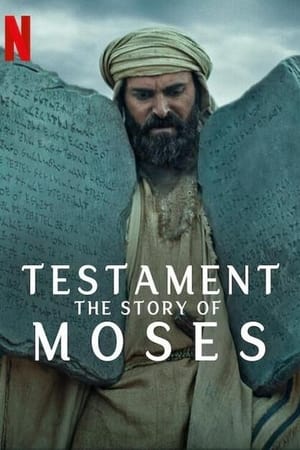 Testamento: La historia de Moisés T 1 C 3 online gratis