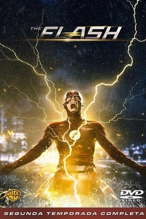 The Flash T 2 C 19 online gratis