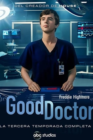 The Good Doctor Temporada 3 online gratis