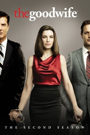 The Good Wife Temporada 2 online gratis