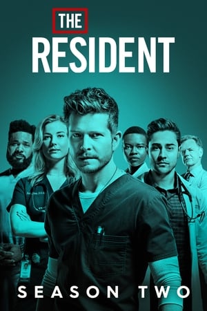 The Resident temporada  2 online