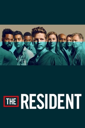 The Resident temporada  4 online