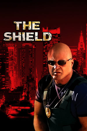 The Shield: Al margen de la ley T 3 C 5 online gratis