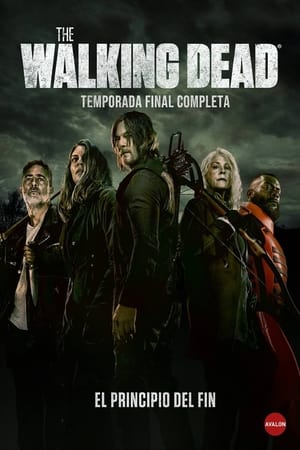 The Walking Dead T 11 C 16 online gratis