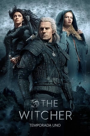 The Witcher T 1 C 8 online gratis