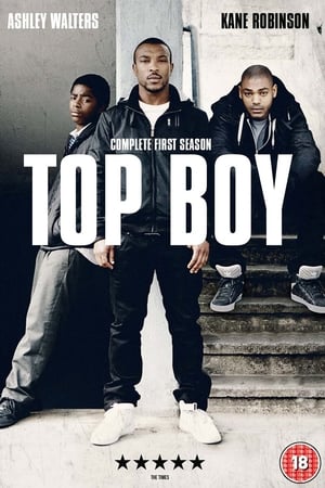 Top Boy temporada  1 online