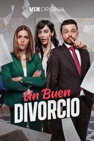 Un buen divorcio Temporada 1 online gratis