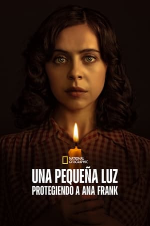 Una pequeña luz: protegiendo a Ana Frank T 1 C 5 online gratis