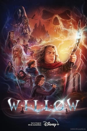 Willow Online