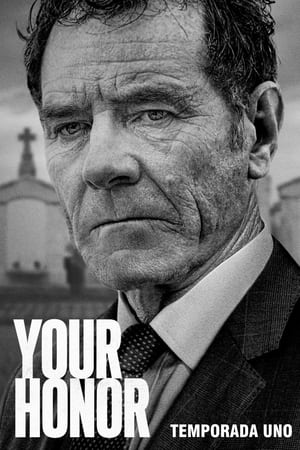 Your Honor Temporada 1 online gratis